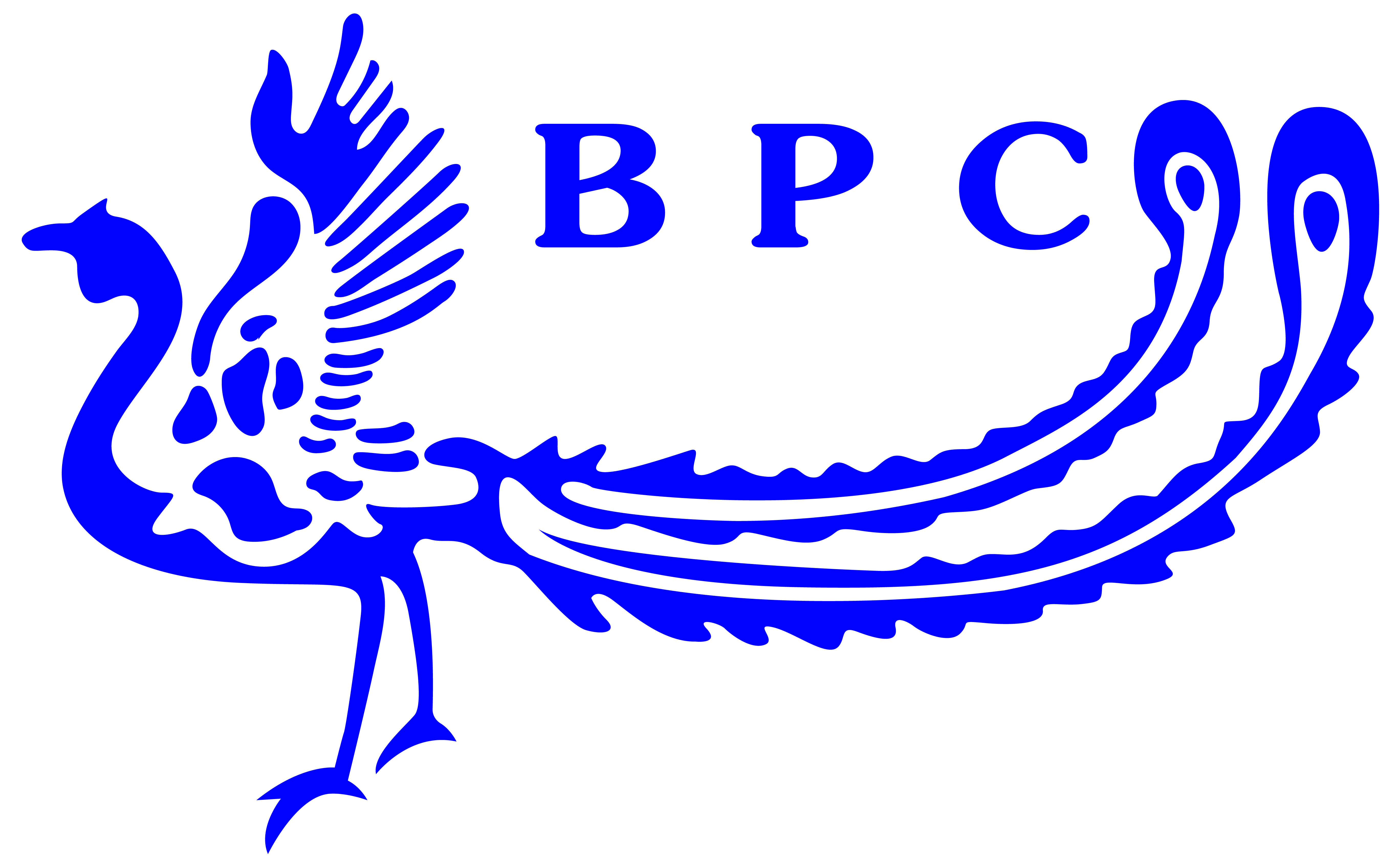 BPC Package